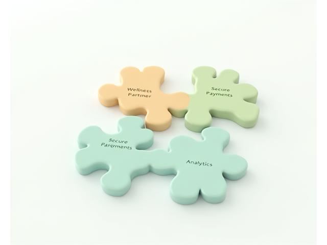 Interconnected 3D puzzle pieces with labels like 'Healthcare', 'Analytics', 'Payments', symbolizing third-party integrations and secure data sharing.
