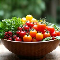 Bowl of fresh, colorful vegetables from a farmers market, representing sustainable nutrition.